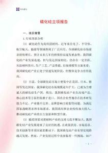 碳化硅立項報告