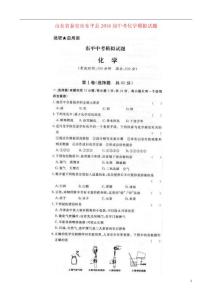山東省泰安市東平縣2021屆中考化學(xué)模擬試題掃描版