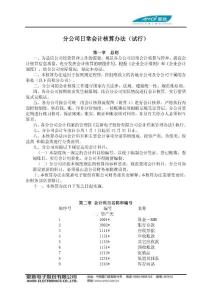 分公司會計核算辦法（修改）（全）