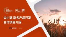 央小滿聯名產品開發合作項目介紹-0418