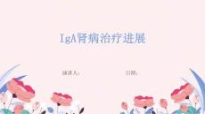 IgA肾病治疗进展