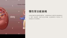 《慢性肾功能衰竭》课件