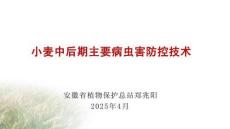 2025小麦中后期病虫害防控技术-安徽省植保总站郑兆阳