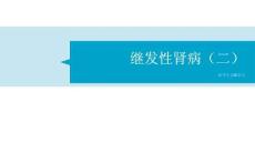 继发性肾病 （二）