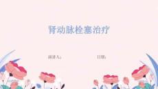 肾动脉栓塞治疗