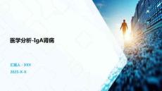 医学分析-IgA肾病