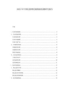 2025年中国幻影摩托艇数据监测研究报告