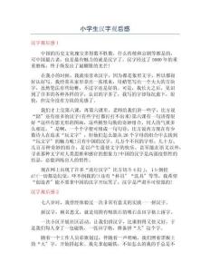 小學生漢字觀后感