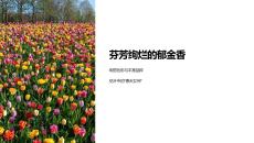 《芬芳絢爛的郁金香》課件