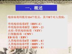 生殖器疱疹症状与防治策略培训课件