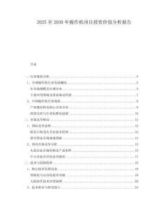 2025至2030年操作机项目投资价值分析报告