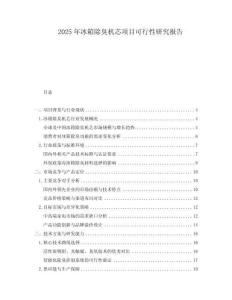 2025年冰箱除臭機芯項目可行性研究報告