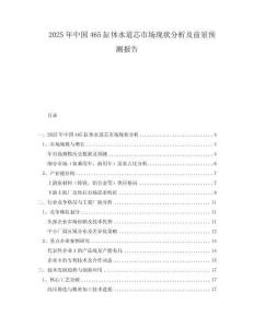 2025年中国465缸体水道芯市场现状分析及前景预测报告