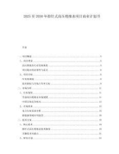 2025至2030年指针式高压绝缘表项目商业计划书
