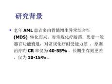 CAG方案临床实验研究深度解读培训课件