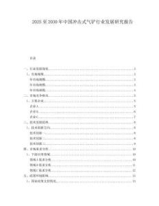 2025至2030年中国冲击式气铲行业发展研究报告