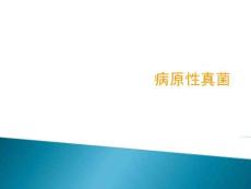 《细菌学》病原性真菌