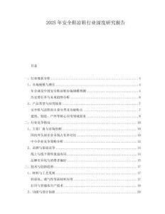 2025年安全鞋凉鞋行业深度研究报告