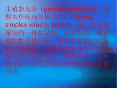 生殖器疱疹能否实现永久根治培训课件