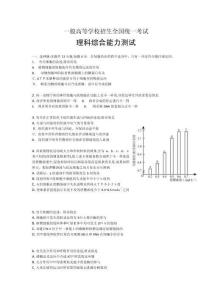 2025年全球精英预备中小学雅思全能提升计划