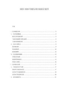 2025-2030年槌头项目商业计划书