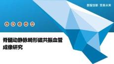 脊髓动静脉畸形磁共振血管成像研究-洞察阐释