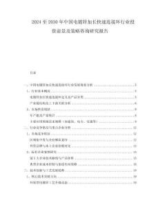 2024至2030年中国电镀锌加长快速连接环行业投资前景及策略咨询研究报告