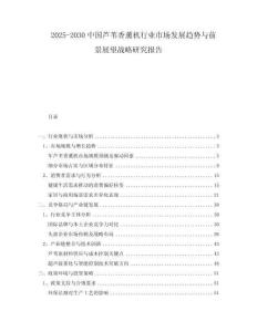 2025-2030中国芦苇香薰机行业市场发展趋势与前景展望战略研究报告