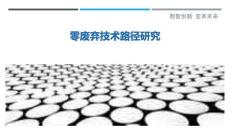 零废弃技术路径研究-洞察剖析