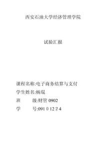 2025年移动支付与电子清算实践探究报告