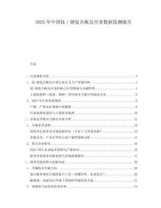 2025年中国钛／钢复合板反应釜数据监测报告