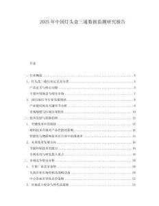 2025年中国灯头盒三通数据监测研究报告