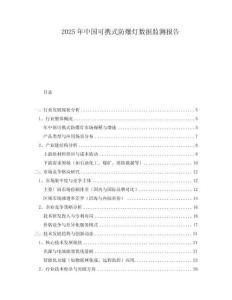 2025年中国可携式防爆灯数据监测报告