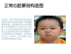 先天性心脏病室间隔缺损治疗攻略培训课件