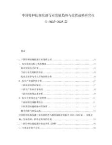 中国特种防腐纹漆行业发展趋势与投资战略研究报告2025-2028版