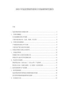 2025年免洗型助焊剂项目市场调查研究报告