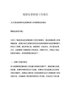 视察民事检察工作报告