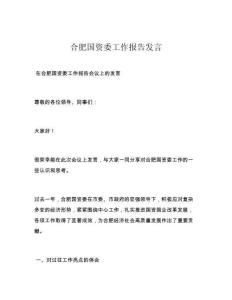 合肥国资委工作报告发言