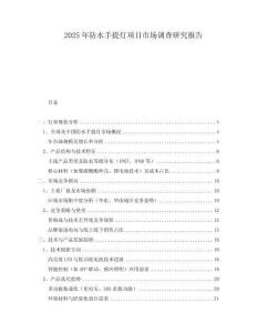 2025年防水手提灯项目市场调查研究报告