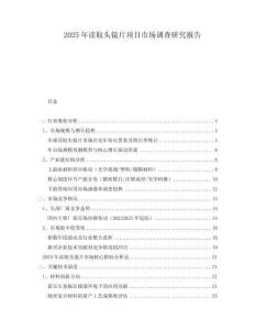 2025年读取头镜片项目市场调查研究报告