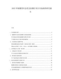 2025年隔爆型应急荧光防爆灯项目市场调查研究报告