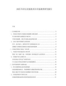 2025年冲击实验机项目市场调查研究报告