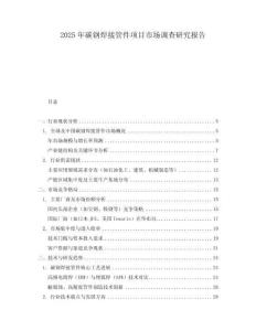 2025年碳钢焊接管件项目市场调查研究报告