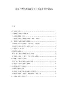 2025年摩托车加紧轮项目市场调查研究报告