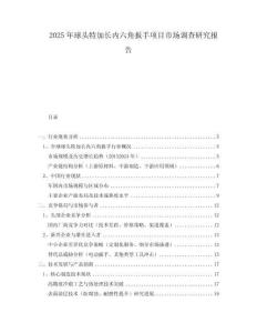 2025年球头特加长内六角扳手项目市场调查研究报告