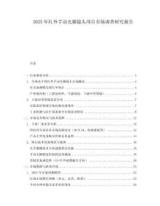 2025年红外手动光圈镜头项目市场调查研究报告