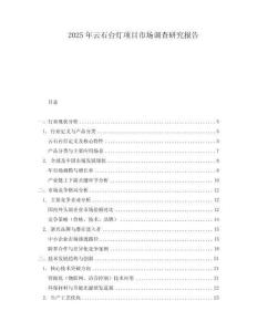 2025年云石台灯项目市场调查研究报告
