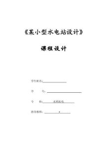 2025年水利工程专业水电站课程设计实践指南