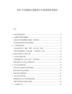 2025年电暖器压线板项目市场调查研究报告