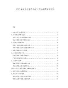 2025年压力式混合器项目市场调查研究报告